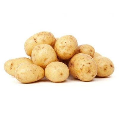 Taze Yeni Hasat Patates